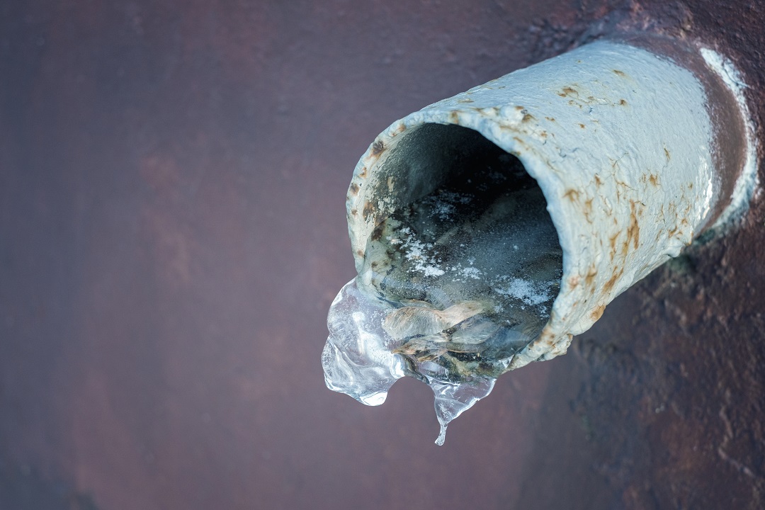 What Occurs If You Delay Addressing a Plumbing Drain Clog?